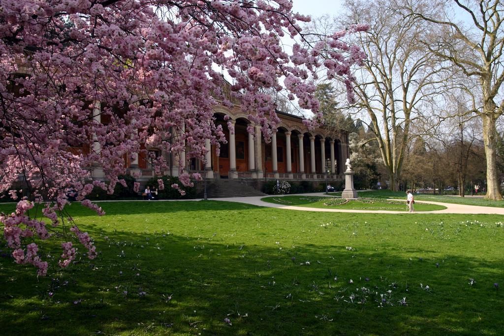 Apparthaus Pfeifer Baden-Baden Zewnętrze zdjęcie